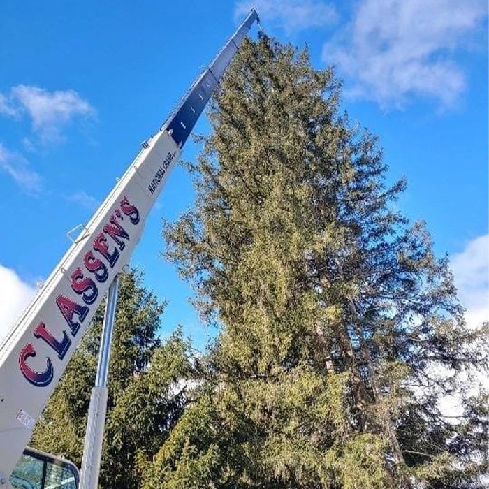 cranes_33 ton